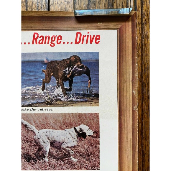Friskies 18 Hunting Dogs Poster Outdoor Life Photos VINTAGE (20) - Picture 3 of 7